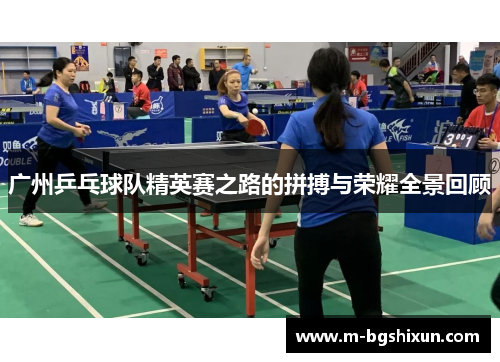 广州乒乓球队精英赛之路的拼搏与荣耀全景回顾