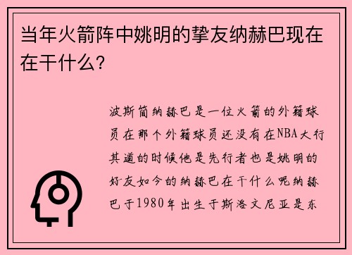 当年火箭阵中姚明的挚友纳赫巴现在在干什么？